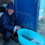 Il pescatore 68enne Vito Donato, alle prese con "l'arricciamento" dei polpi